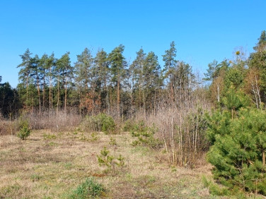 Działka budowlana Skrybicze