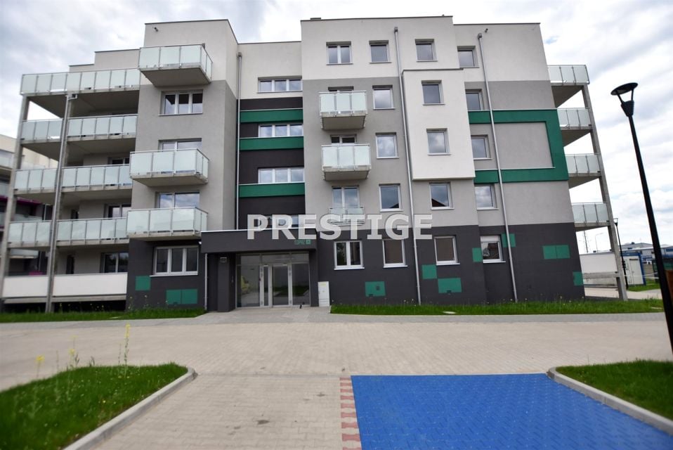 Zdjęcie 3