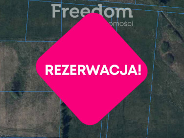 Działka Blanki
