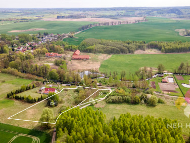 Działka Potryty