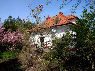 Dom Siestrzeń