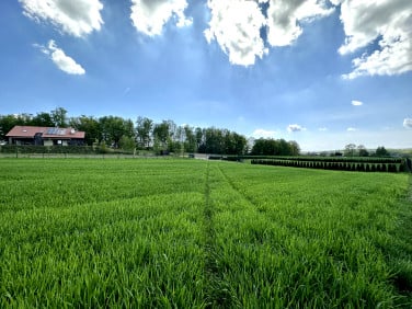 Działka Mysłowice