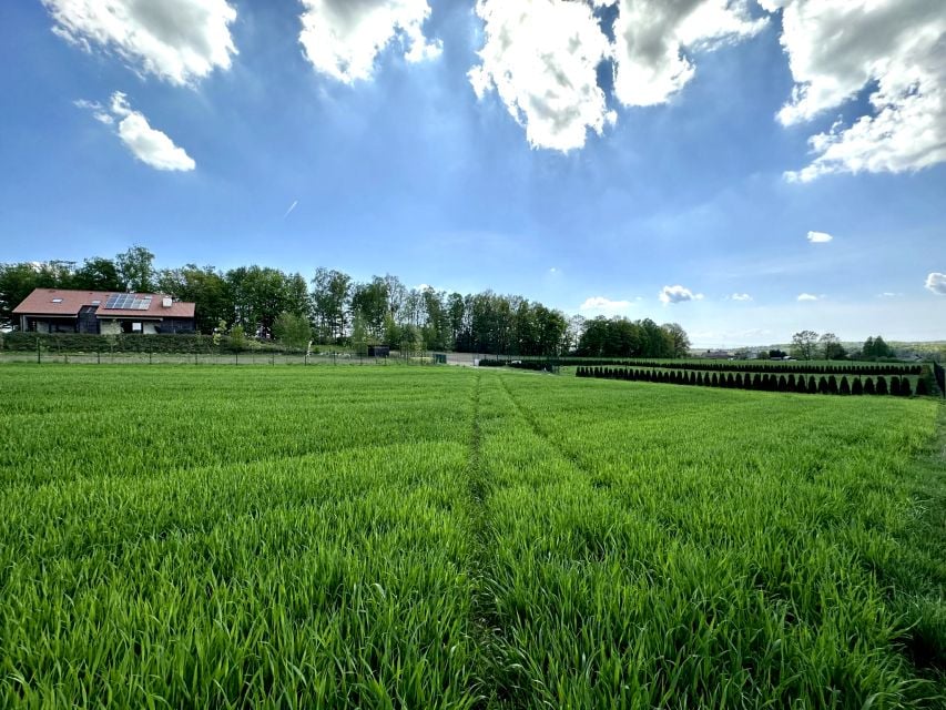 Działka Mysłowice