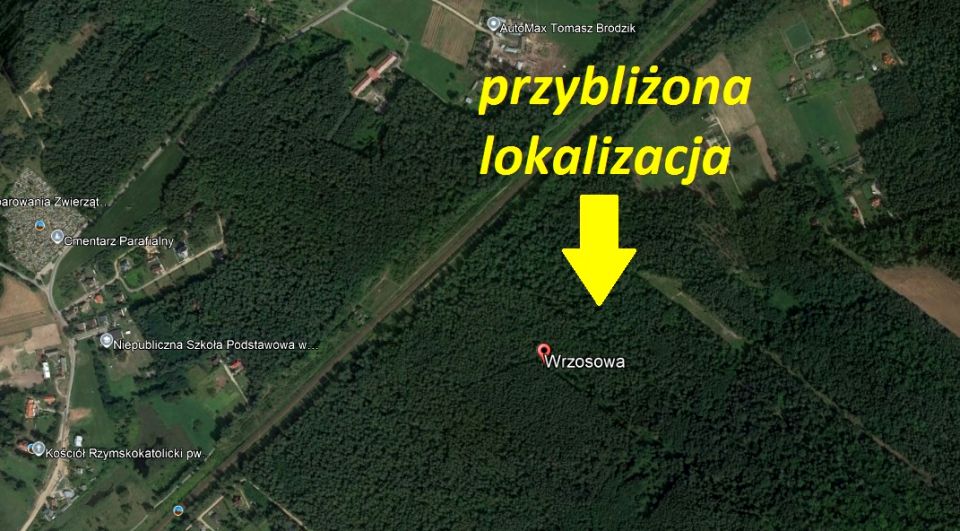 Działka leśna Niewodnica Kościelna