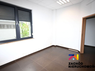 Lokal Zielona Góra