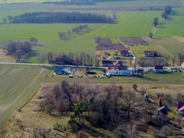Działka rolna Witków