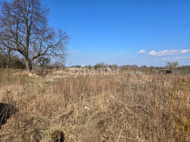 Działka inna Radostków