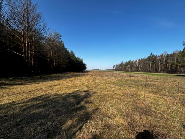 Działka rekreacyjna Romanów sprzedam