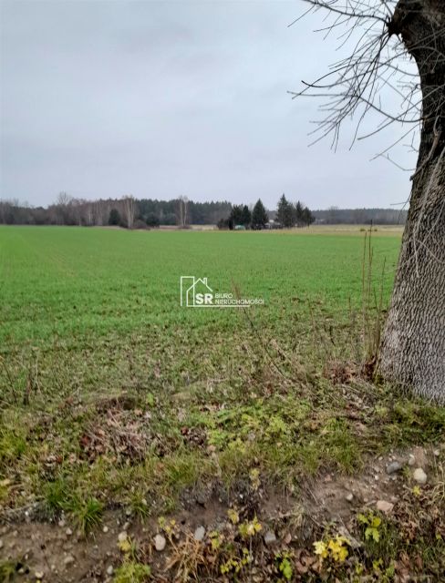Działka rolna Patoki