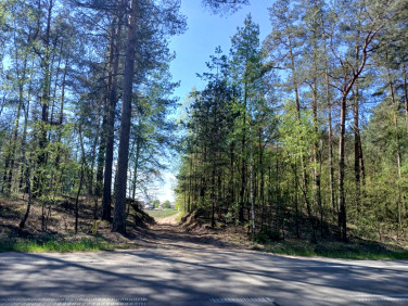 Działka budowlana Myszyniec