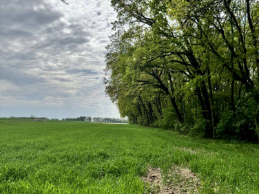 Działka Wola Pasikońska