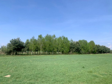 Działka Rogów