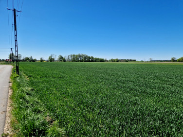 Działka budowlana Władysławów Popowski