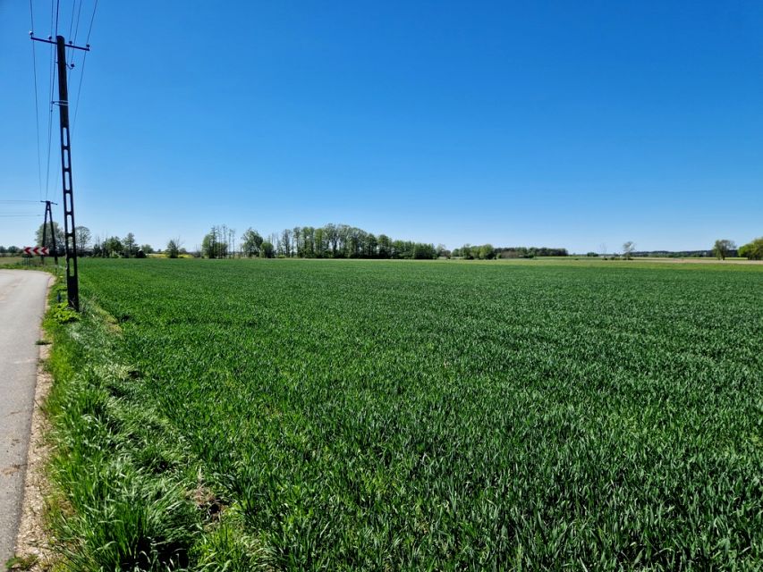 Działka budowlana Władysławów Popowski