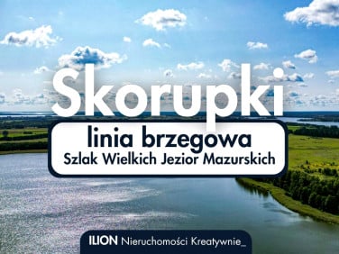 Dom Skorupki