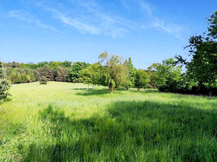 Działka Wielka Lipa