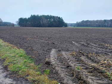 Działka budowlana Ignacew Podleśny