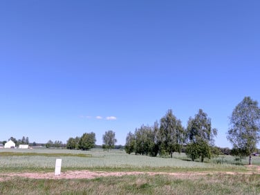 Działka Trzebiszewo