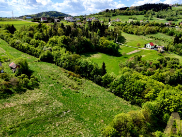 Działka Trzetrzewina