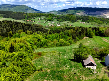 Działka Trzetrzewina