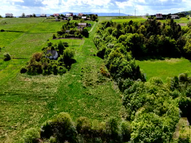 Działka Trzetrzewina