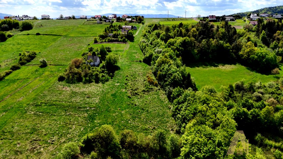 Działka Trzetrzewina