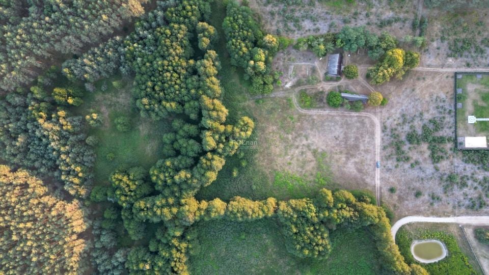 Działka siedliskowa Pąchy