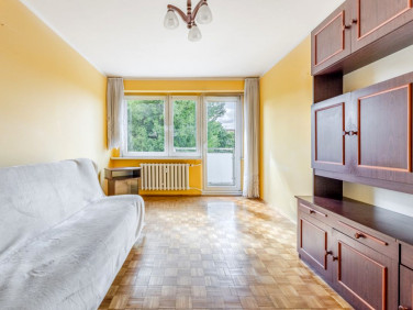 Mieszkanie Toruń