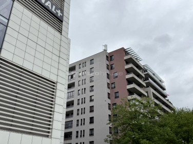 Lokal Warszawa