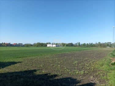 Działka budowlana Dębno Polskie