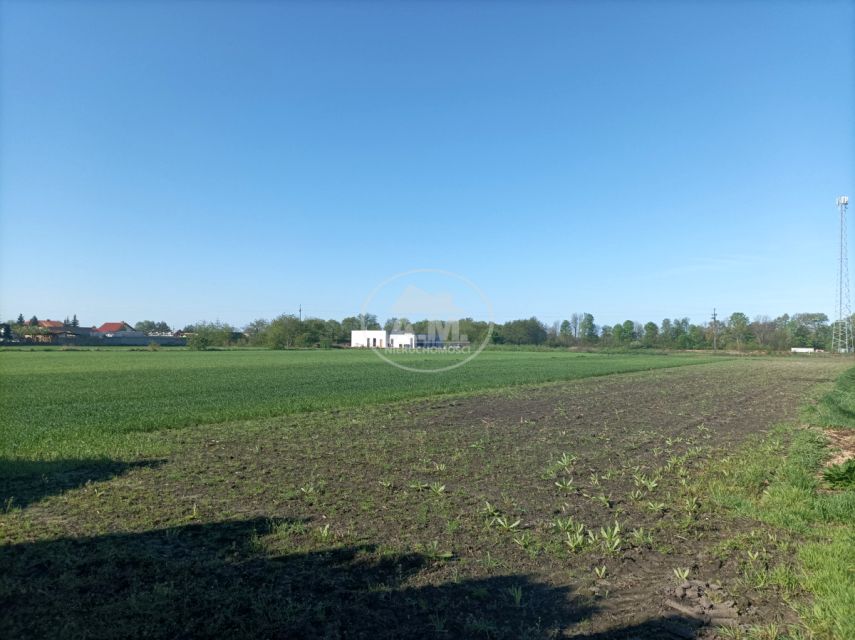 Działka budowlana Dębno Polskie