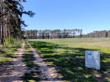 Działka Trzebiszewo