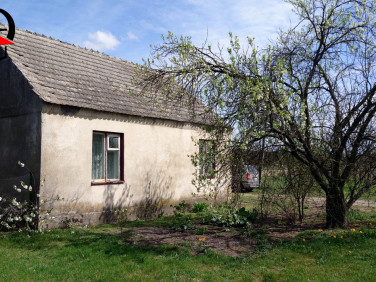 Dom Koło sprzedaż