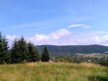 Działka budowlana Wysowa-Zdrój