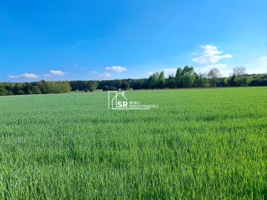 Działka budowlano-rolna Rembów