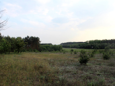 Działka budowlana Obrowo