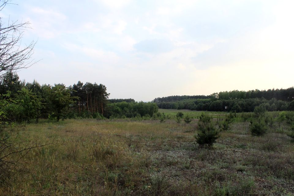 Działka budowlana Obrowo