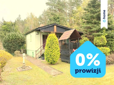 Działka Drzewce
