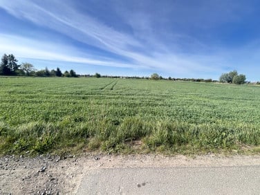 Działka budowlana Gorzów Wielkopolski