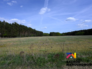 Działka nad jeziorem