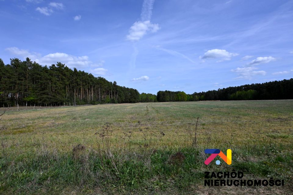 Działka nad jeziorem