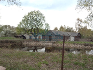 Działka budowlana Chojnów