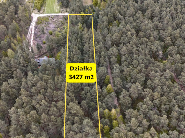Działka leśna sprzedam