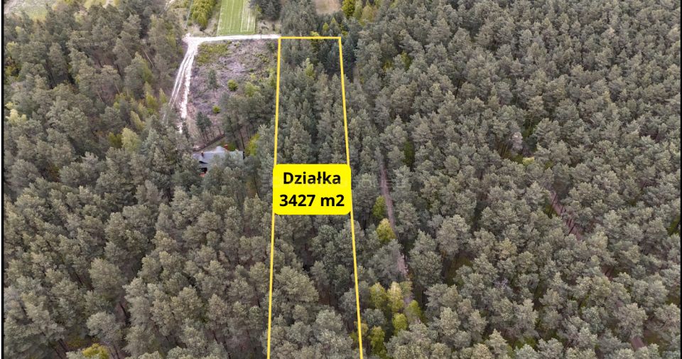 Działka leśna sprzedam
