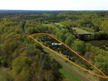Działka przy lesie