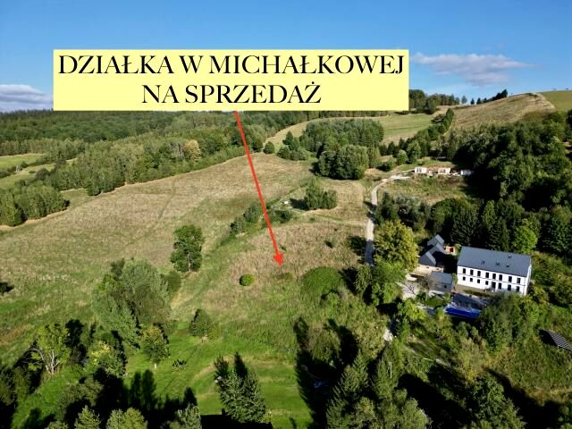 Działka Michałkowa