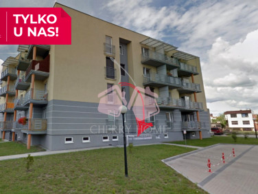 Lokal Września