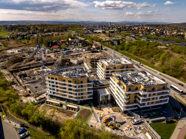 Lokal Kraków