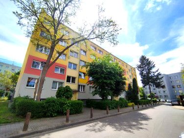Mieszkanie Chojnów
