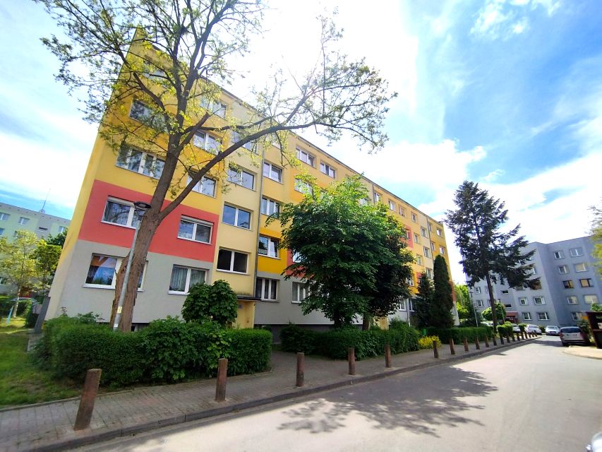 Mieszkanie Chojnów